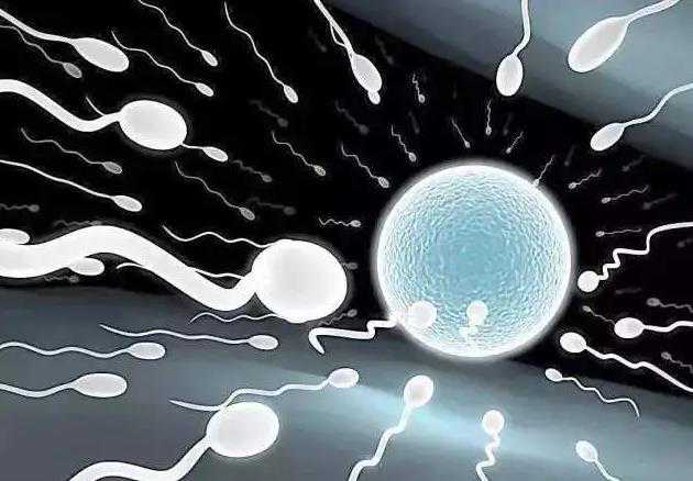 供卵代孕孩子中心,青海供卵代怀试管生子机构公