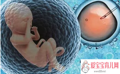 aa69公司怎样_51宝贝助孕怎么样,胚胎冷冻对宝宝有影响试管婴儿冷冻胚胎有什么